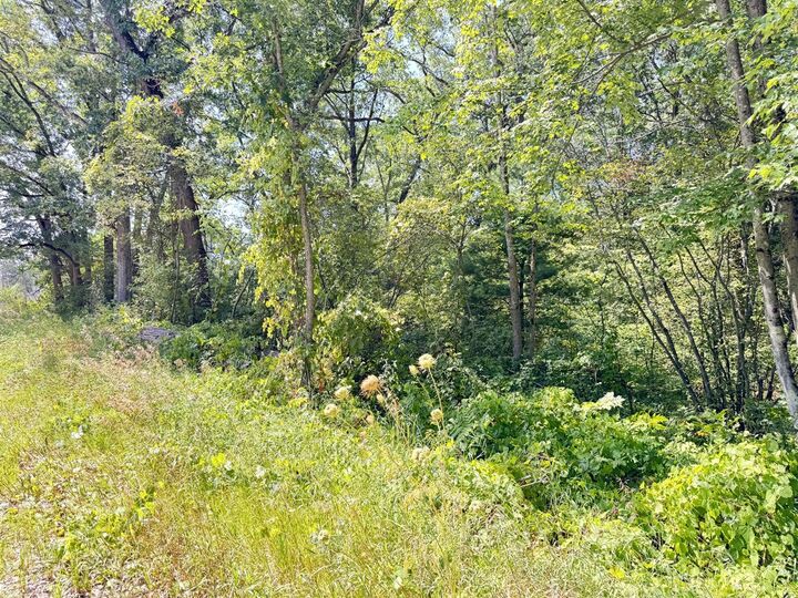 Property Photo:  8835 N Bingham Avenue  MI 49309-9444 