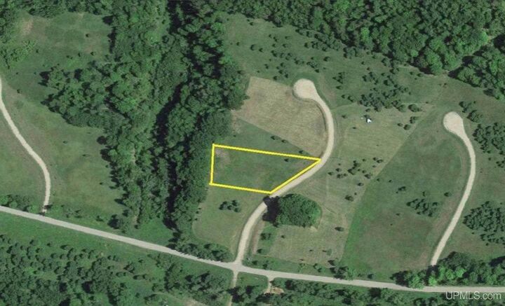 Property Photo: Lot 8 Ski View Drive MI 49870