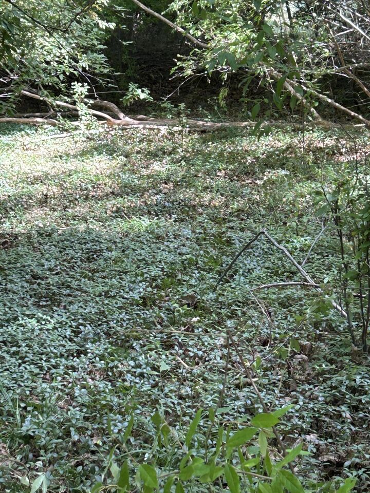Property Photo: Longbridge West Lot 9 MI 49449