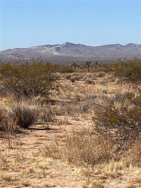 Property Photo: 0 Shelby Road CA 92342