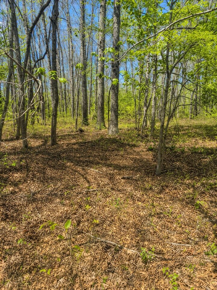 Property Photo: 0 Doe Creek Lake Dr TN 38583