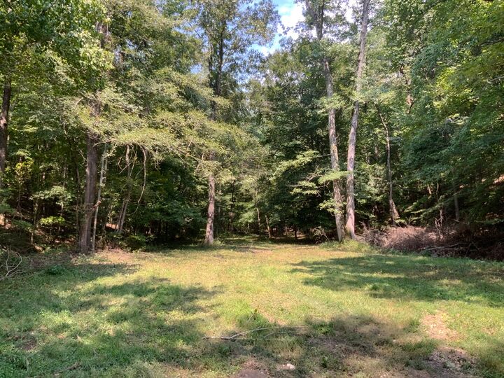 Property Photo: 234 Lower Standing Rock Rd TN 37058