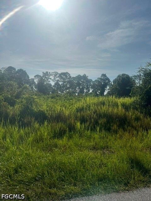 Property Photo: 819 Anaconda Avenue S FL 33974