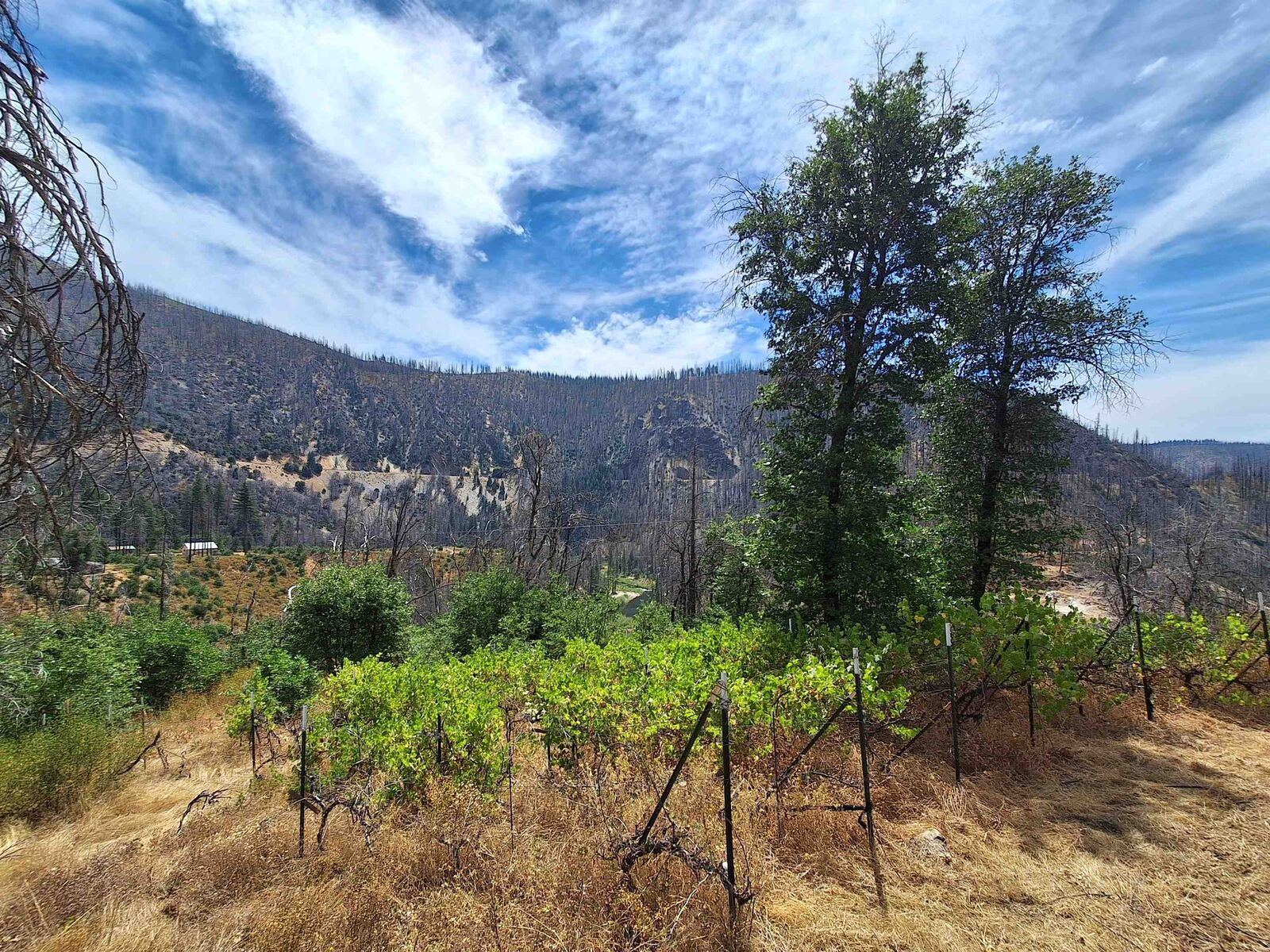 Property Photo: 249 Thompson Avenue CA 95934