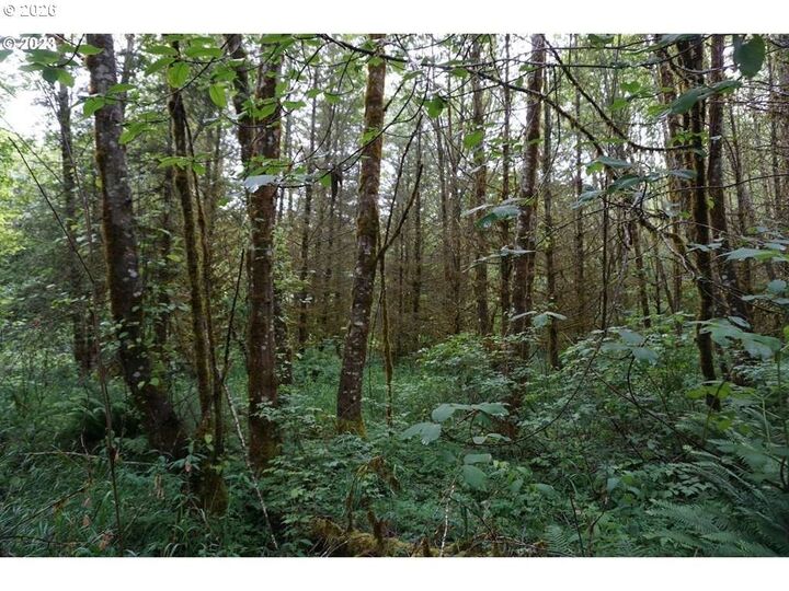 Property Photo:  0 NE Buncombe Hollow Rd  WA 98674 