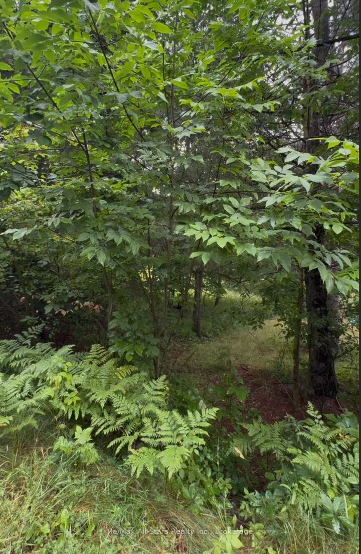 Property Photo:  958 North Mary Lake Road  ON P1H 1S4 