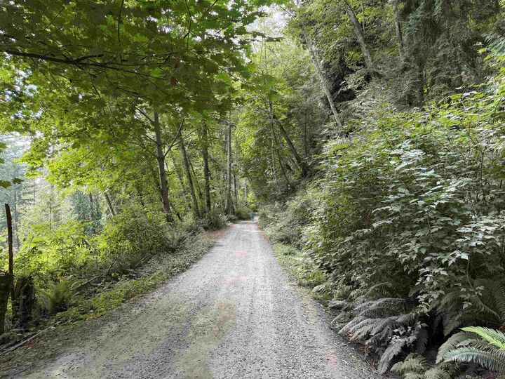 Property Photo: Lot 16 Hairy Elbow Road BC V0N 3A0