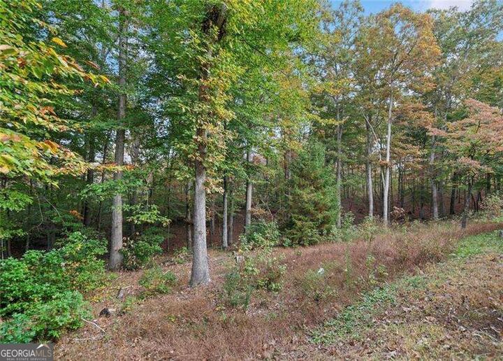 Property Photo:  0 Ammons Drive  GA 30183 