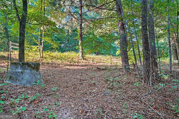 Property Photo:  0 Locust Road  GA 30248 