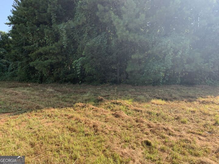 Property Photo:  604 Tahoe Trail  GA 30281 