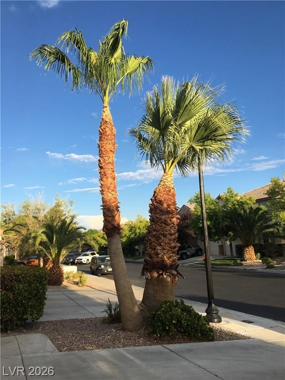 Property Photo: 5136 Masotta Avenue NV 89141