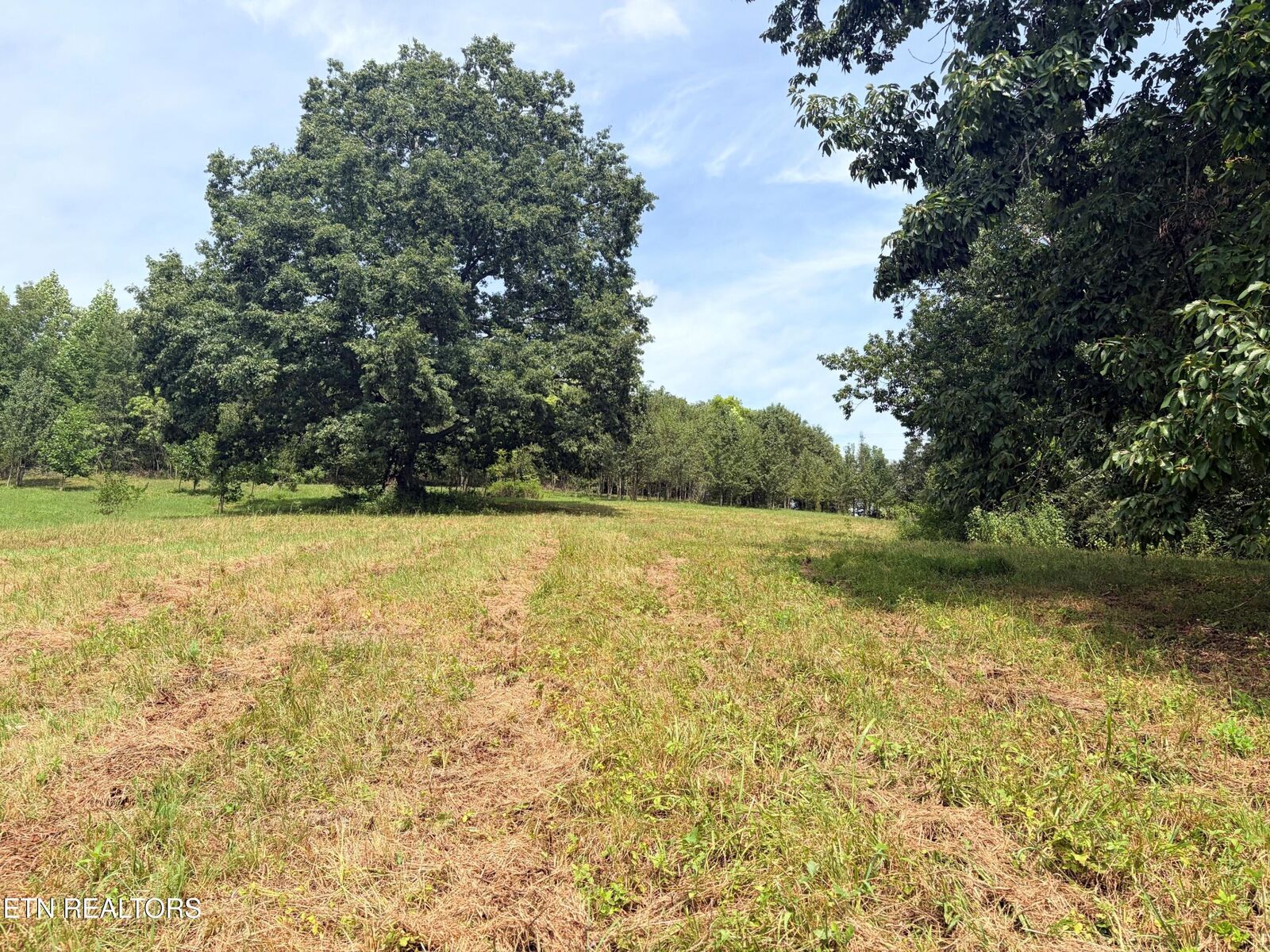 Property Photo:  3632 Mountain Vista Rd  TN 37931 