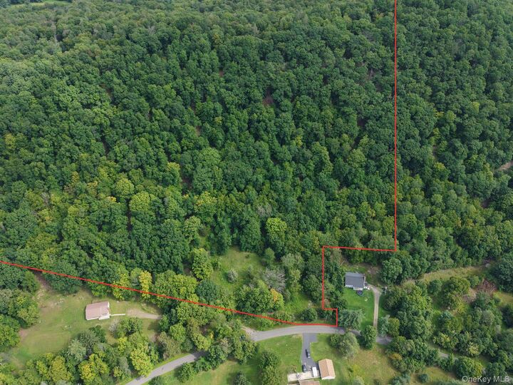 Property Photo:  Twinshaven Road  NY 12765 