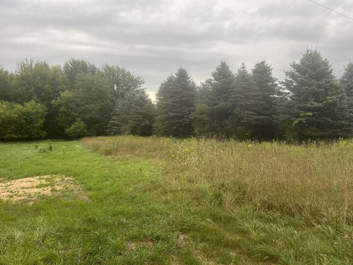 Property Photo: 13532 S McClelland Avenue MI 49327