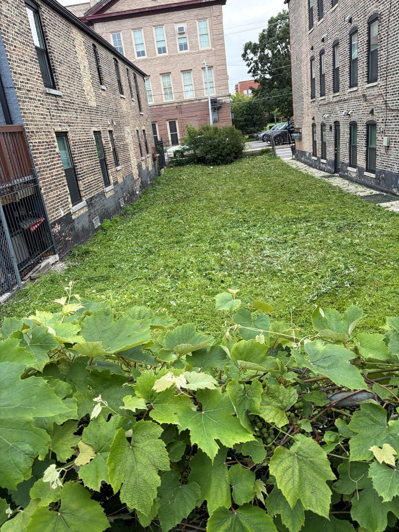 Property Photo:  10137 S Beverly Avenue  IL 60643 