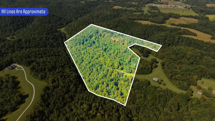 Property Photo:  0 Wartrace Rd  TN 37150 
