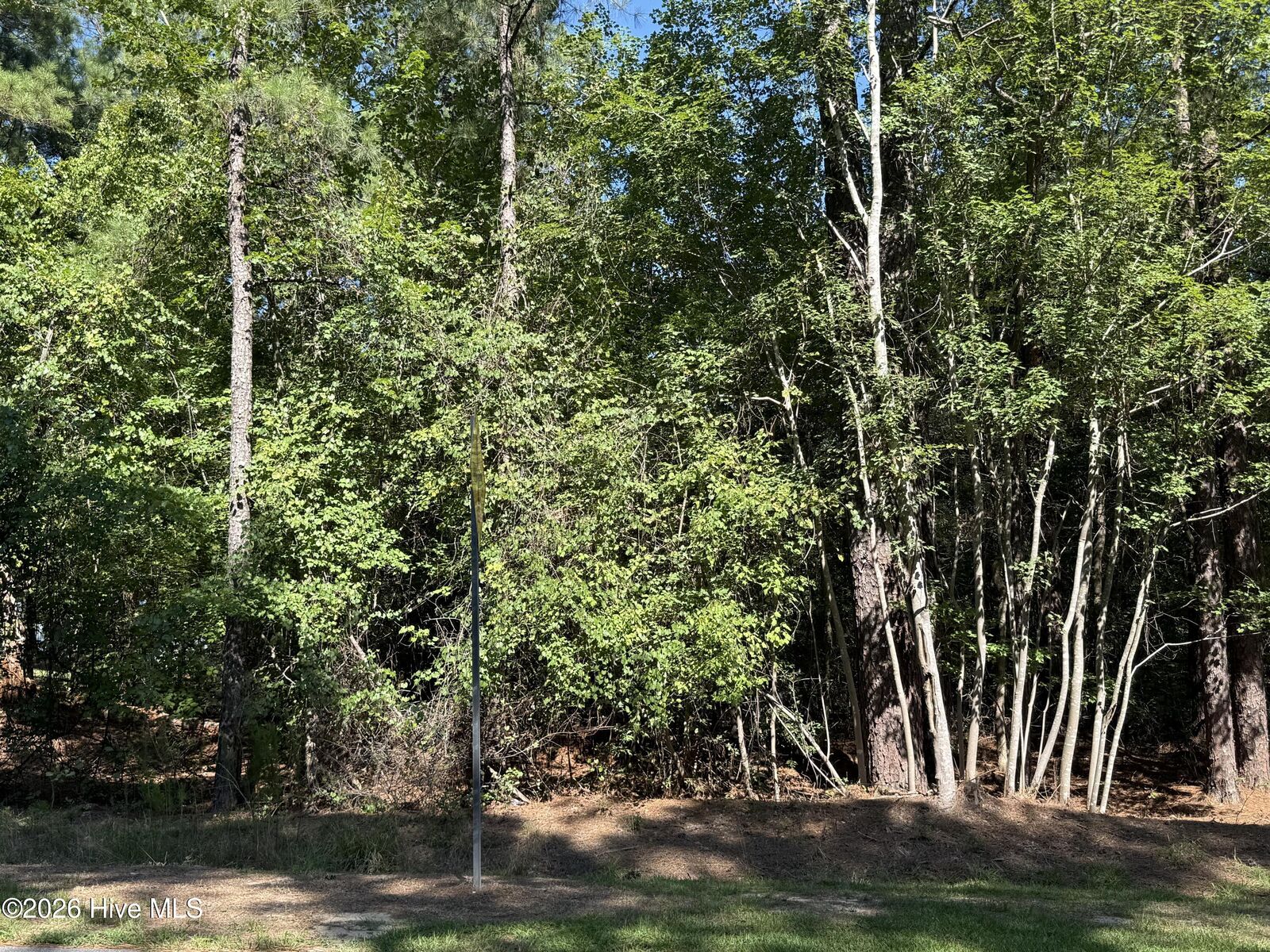 Property Photo:  7657 Main Street  NC 27376 