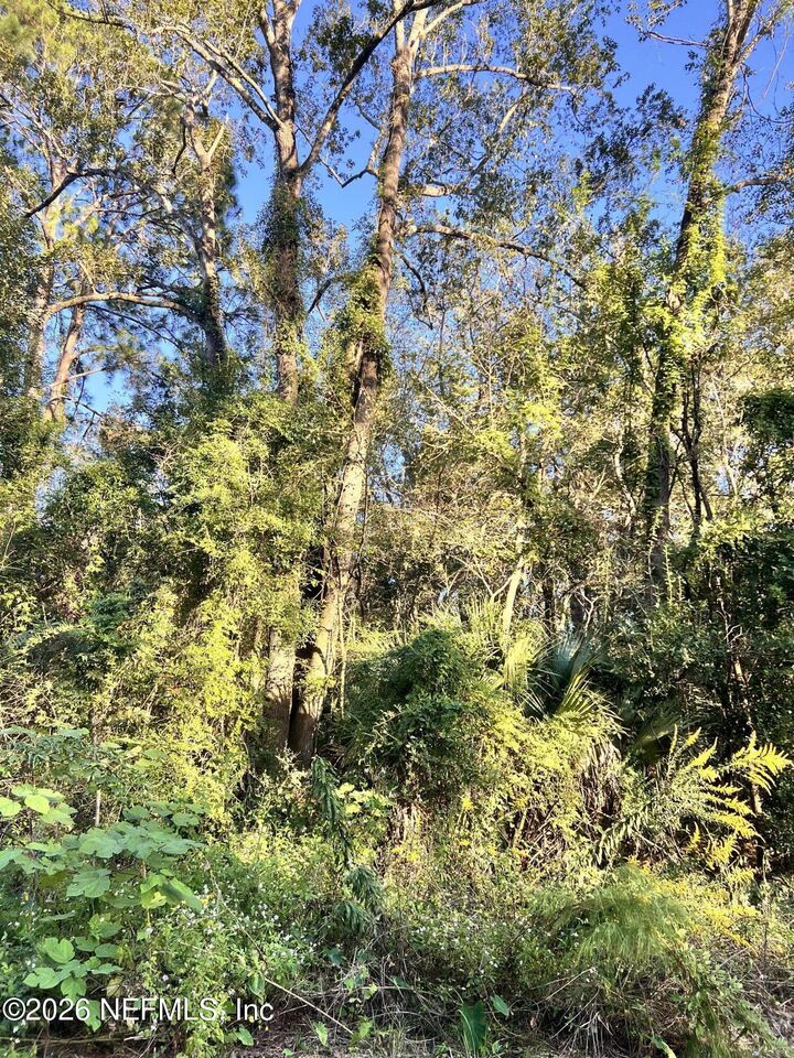 Property Photo: 0 Beryl Street FL 32219