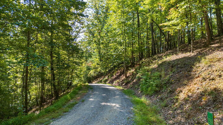 Property Photo:  Lot 159 Tracks Hollow  NC 28906 