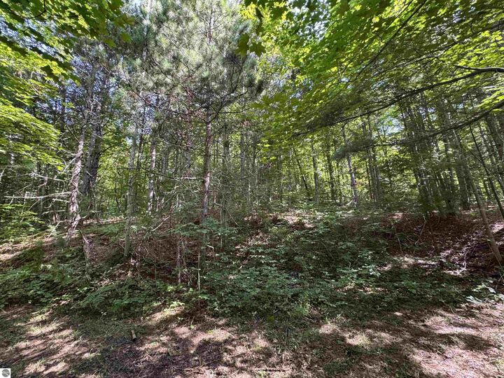 Property Photo:  1205 S Garfield Road  MI 49696 