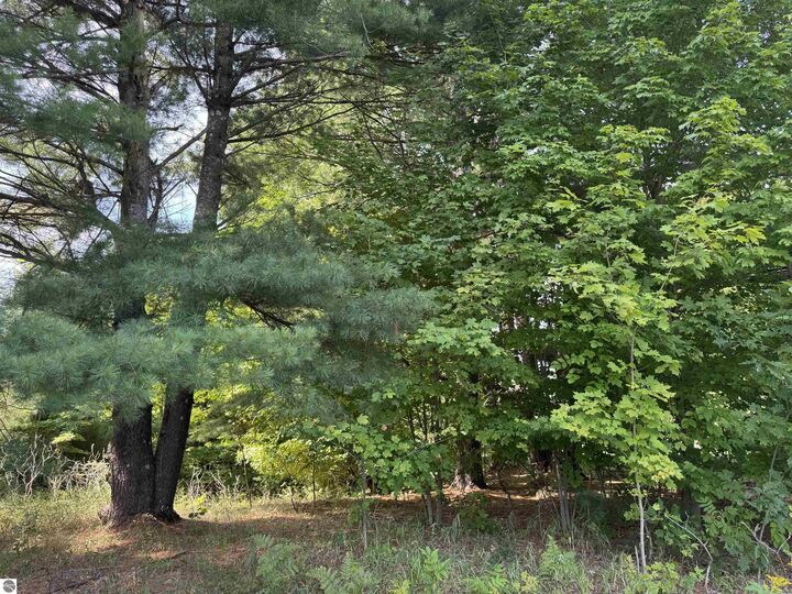 Property Photo:  1108 S Garfield Road  MI 49696 