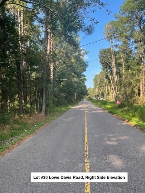 Property Photo: Lot #30 Lowe Davis Road LA 70435