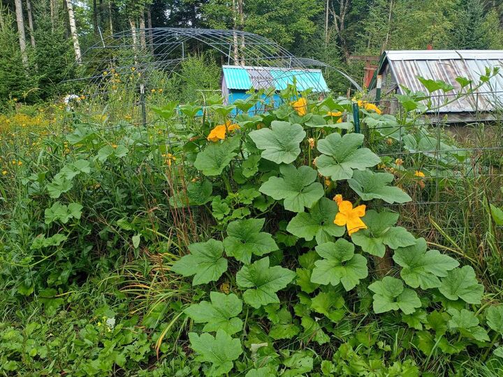 Property Photo: 115 Smith Road VT 05641