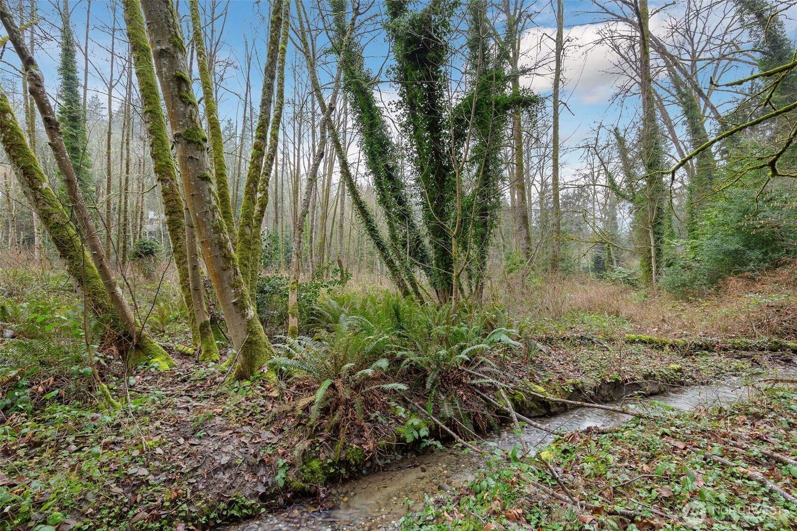 Property Photo:  16  Xxx 76th Place NE  WA 98028 