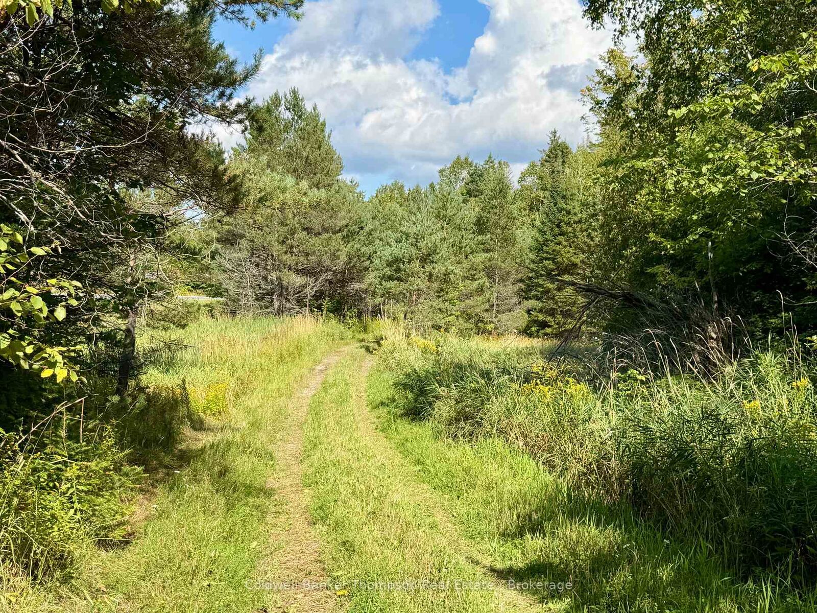Property Photo:  Lot 13 Hwy 522 Highway W  ON P0H 1S0 