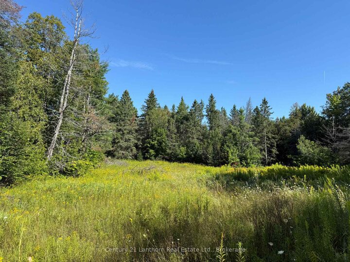 Property Photo:  885 Cleveland Road  ON K0K 1Y0 