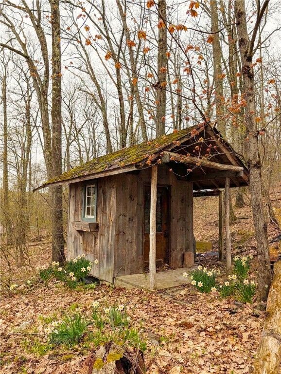 Property Photo:  378 Tupper Road  NY 14883 