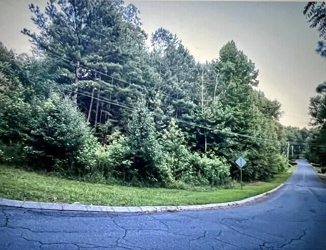 Property Photo:  Lot 91 Battleline Drive  GA 30740 