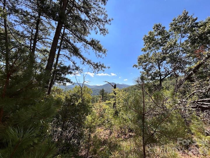 Property Photo:  9999 US Hwy 441 Highway S  NC 28779 