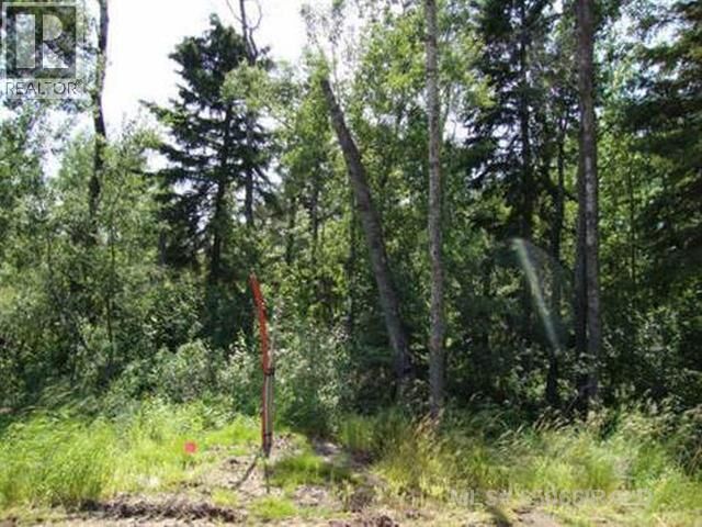 Property Photo:  15 Lakeside Drive  SK S0M 2G0 