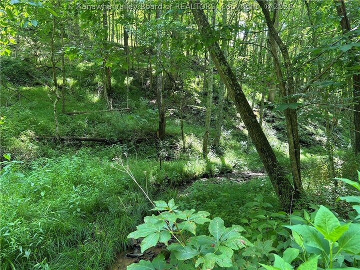 Property Photo:  1640 Charleston Road  WV 25276 