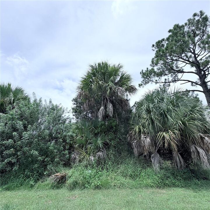 Property Photo: Torino Street FL 34287
