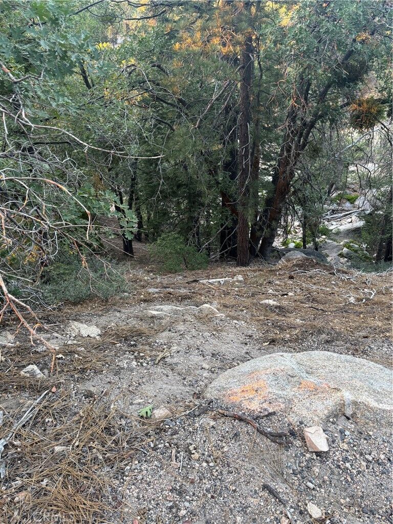Property Photo:  0 Ridge Dr  CA 92382 