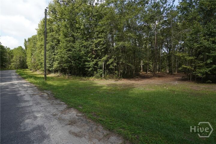 Property Photo: 0 Williams Road GA 31312
