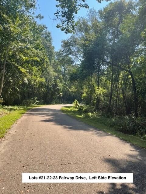 Property Photo:  Lot #22 Fairway Drive  LA 70420 