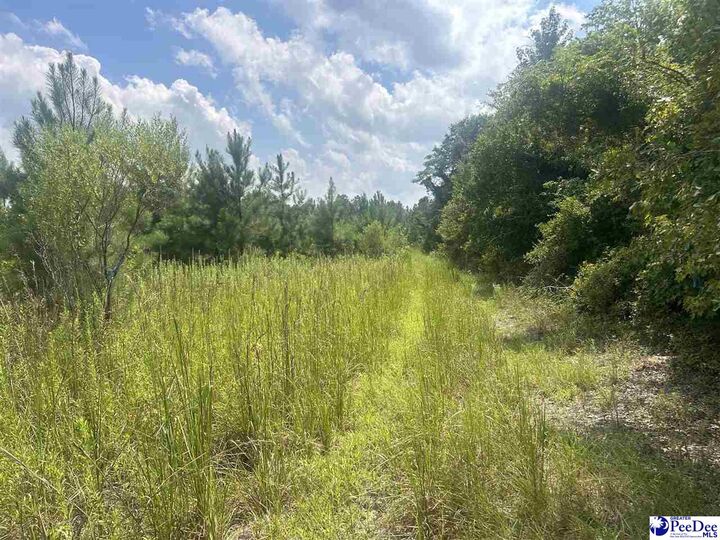Property Photo:  1464 Oleander Dr.  SC 29540-8012 