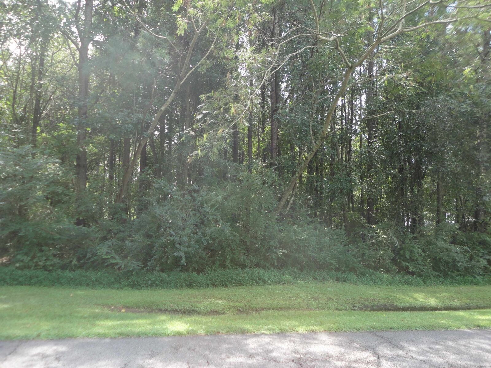 Property Photo: 0 College Dr AL 35077