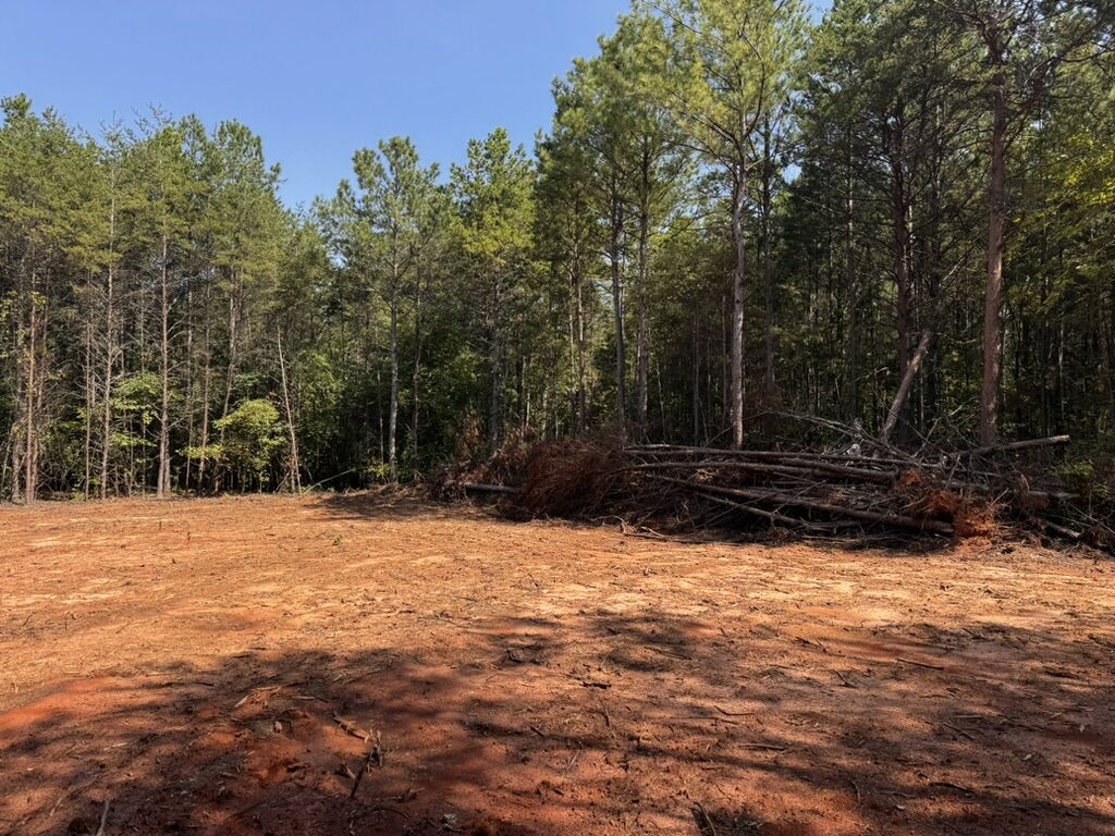 Property Photo:  00 Dixon Road Tract 3  SC 29693 