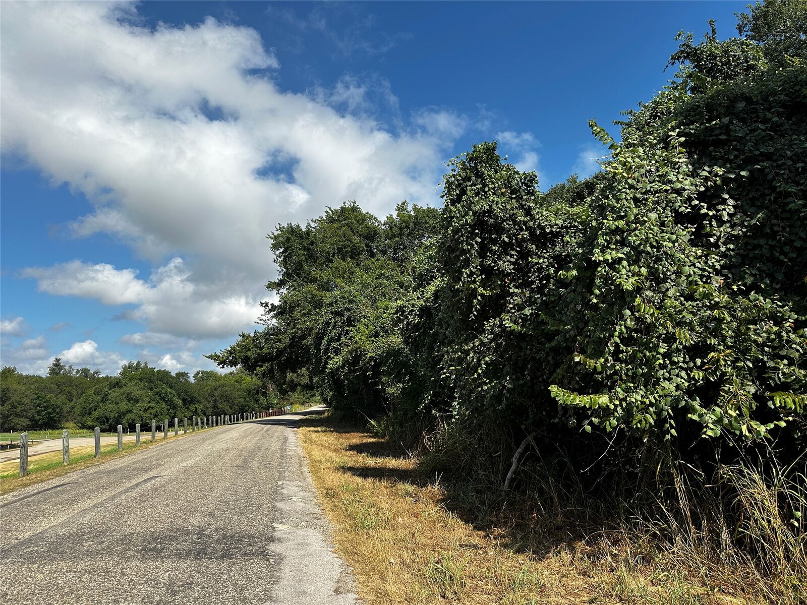 Property Photo: 392 Riverside Drive TX 78602