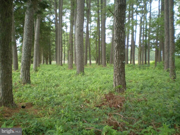 Property Photo:  0 Stewart Neck Road  MD 21853 