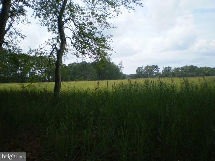 Property Photo:  0 Stewart Neck Road  MD 21853 