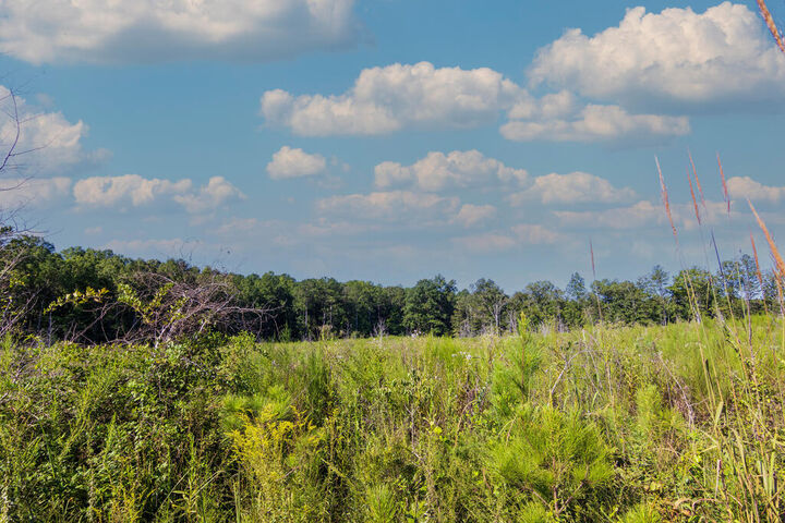 Property Photo:  Tract 7 Carlisle Gap Road  GA 31836 