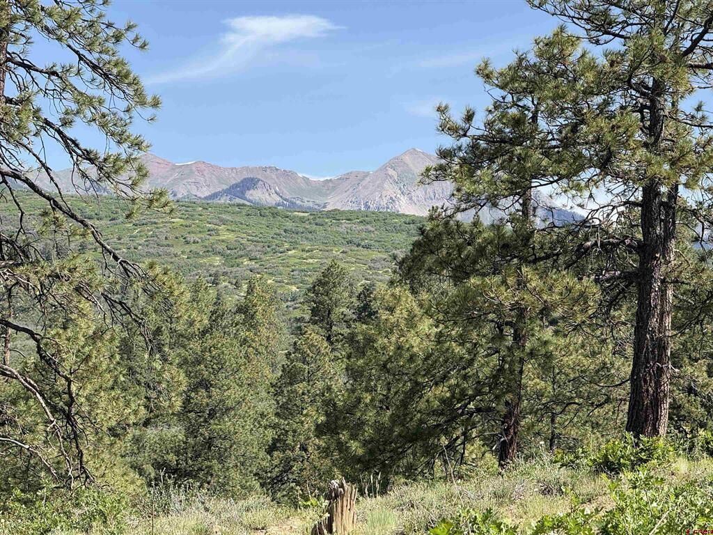 Property Photo:  1649 Sheep Springs Road  CO 81301 