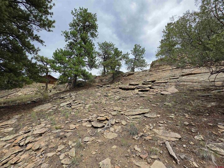 Property Photo:  511 Church Creek Drive  CO 81154 