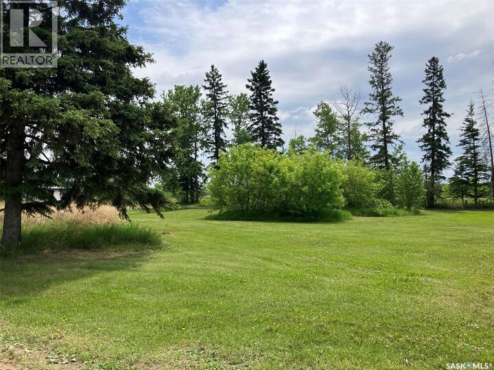 Property Photo:  339 Railway Avenue E  SK S0J 0M0 