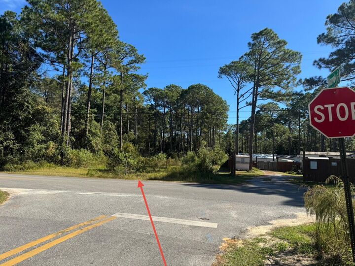 Property Photo:  Lot 11 Indian Woman Road  FL 32459 